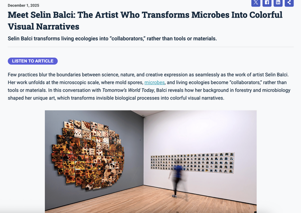 Meet Selin Balci: The Artist Who Transforms Microbes Into Colorful Visual Narratives